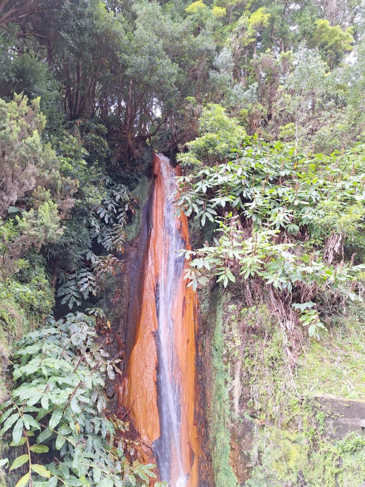 Caminhos Nos Levam Pela Ilha Lejlighed Ponta Delgada Eksteriør billede